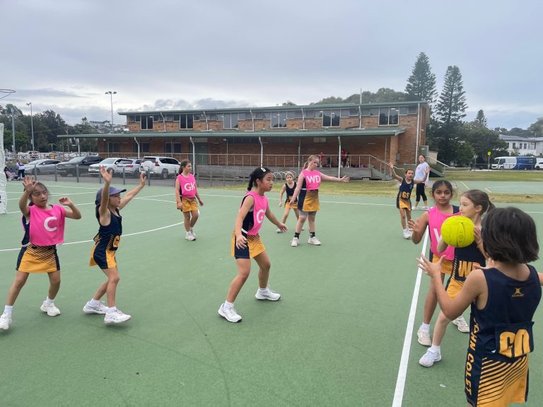 Term 2 netball